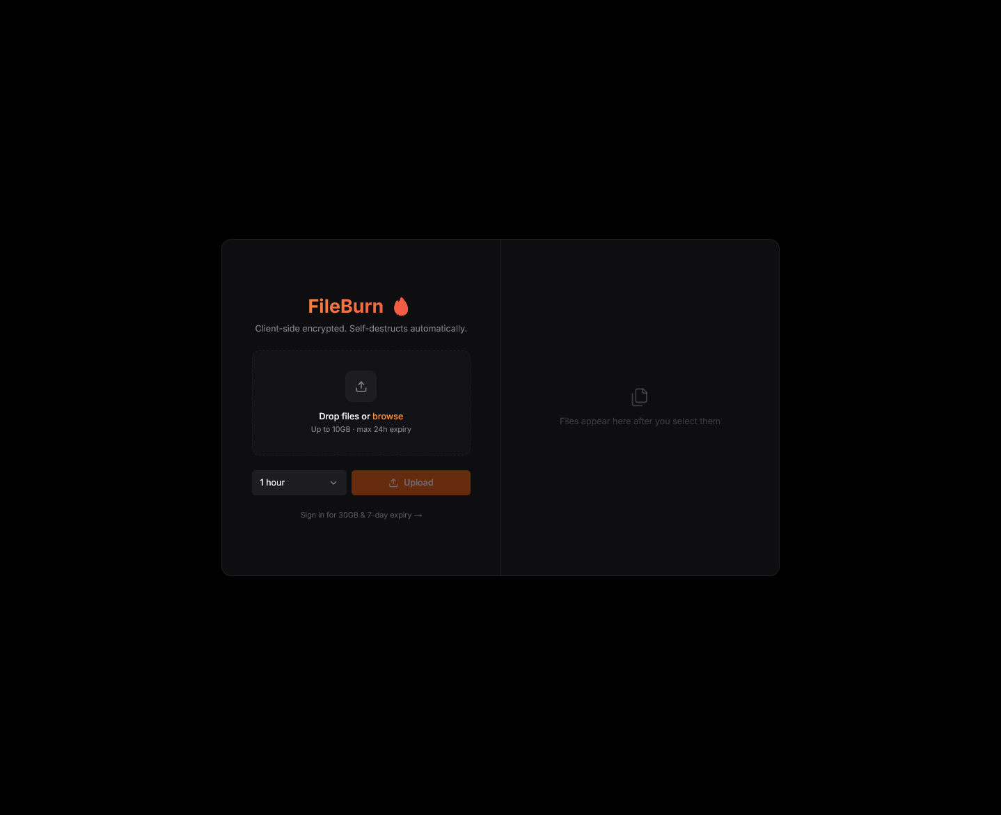 FileBurn landing page